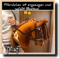 HobbyHorse-Mafi.jpg