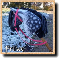 HobbyHorse-Prince.jpg