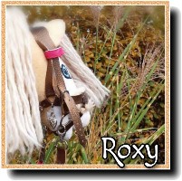 HobbyHorse-Roxy.jpg