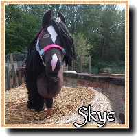 HobbyHorse-Skye.jpg