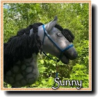 HobbyHorse Sunny