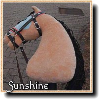 HobbyHorse Sunshine