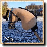 HobbyHorse-Yia.jpg